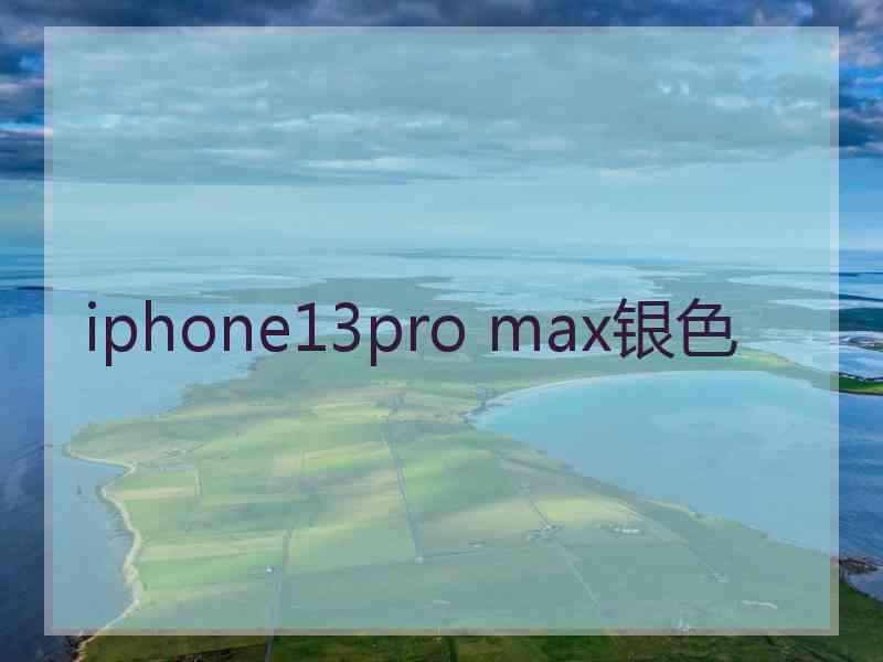 iphone13pro max银色