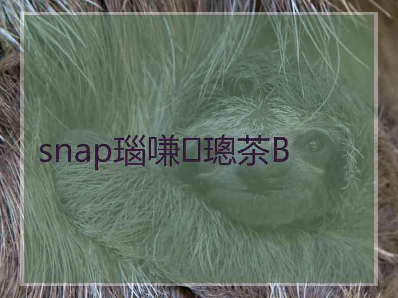 snap瑙嗛璁茶В