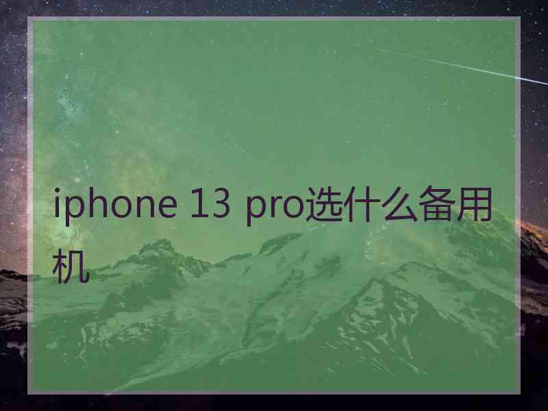 iphone 13 pro选什么备用机