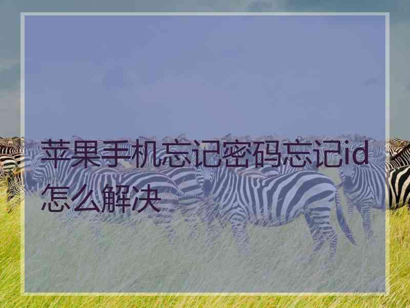 苹果手机忘记密码忘记id怎么解决