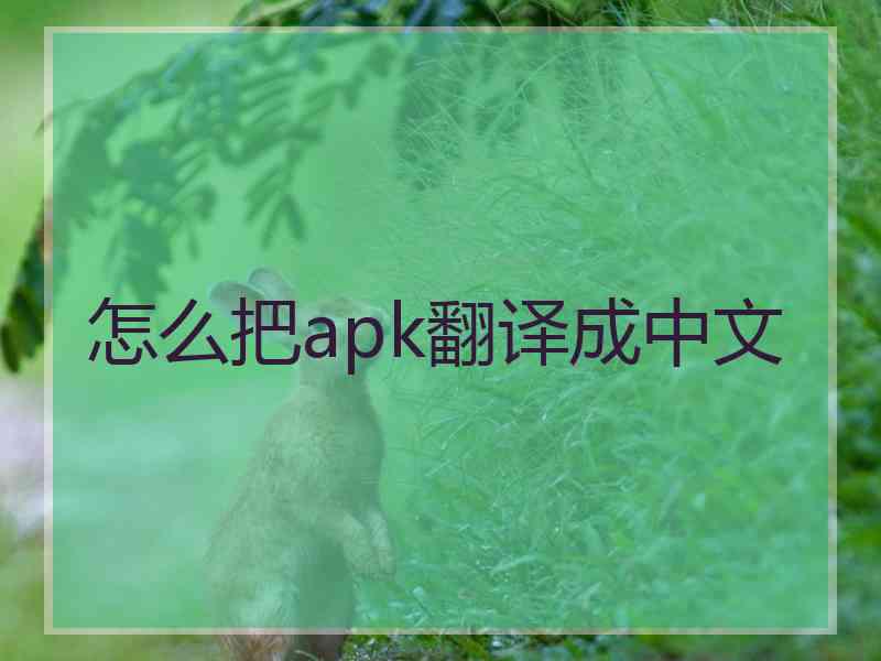 怎么把apk翻译成中文