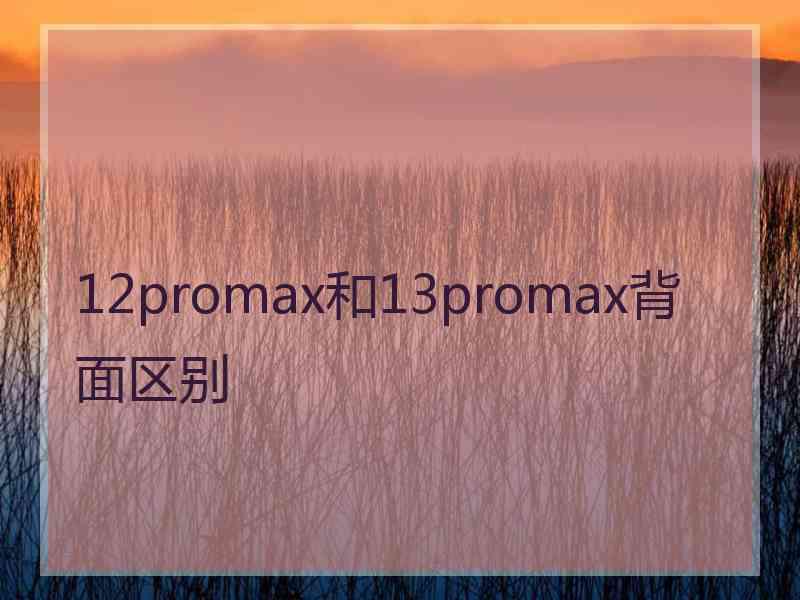 12promax和13promax背面区别