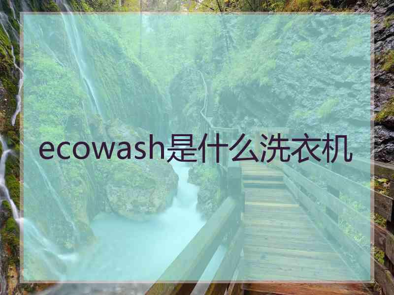 ecowash是什么洗衣机