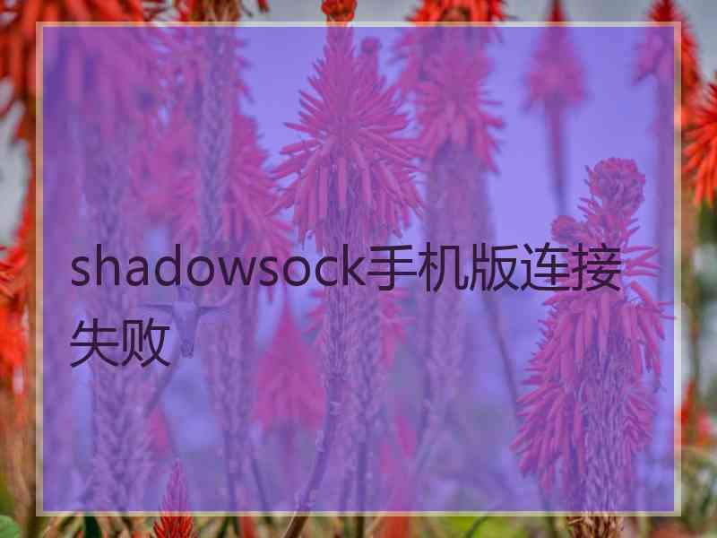 shadowsock手机版连接失败