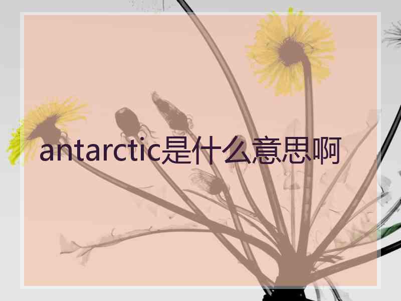 antarctic是什么意思啊