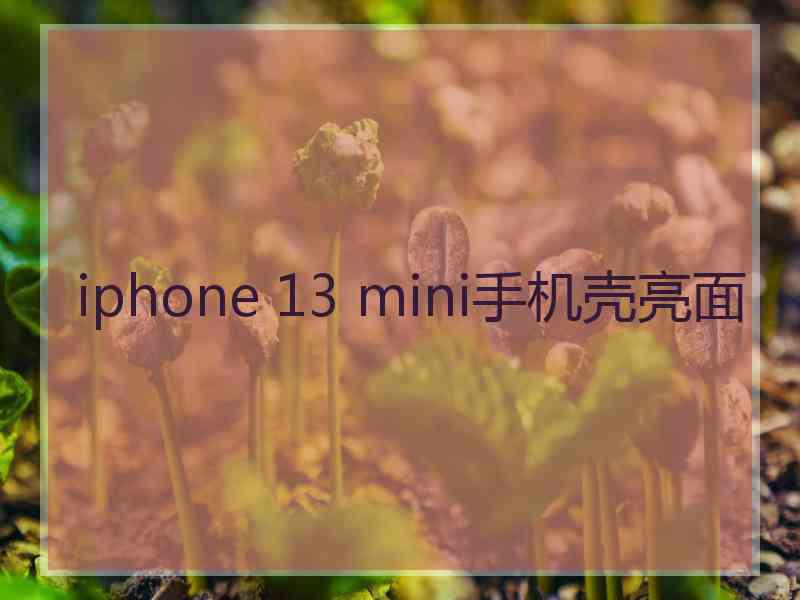 iphone 13 mini手机壳亮面