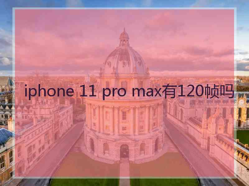 iphone 11 pro max有120帧吗