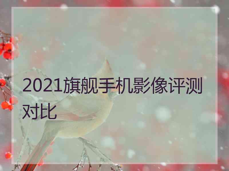 2021旗舰手机影像评测对比