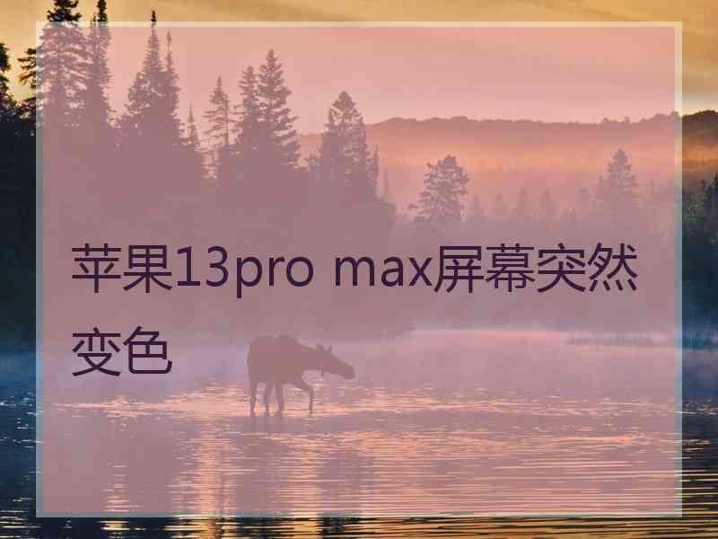 苹果13pro max屏幕突然变色