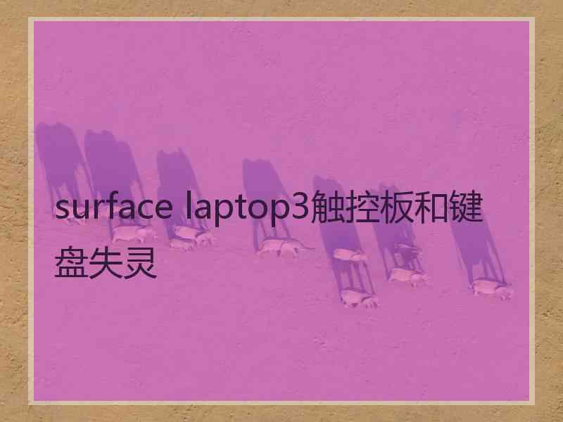 surface laptop3触控板和键盘失灵