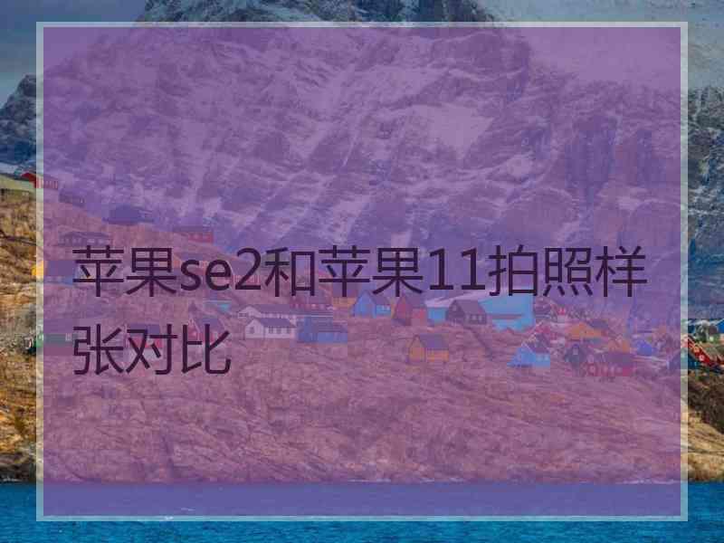 苹果se2和苹果11拍照样张对比