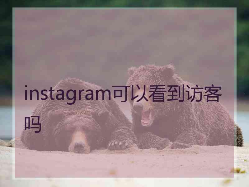 instagram可以看到访客吗