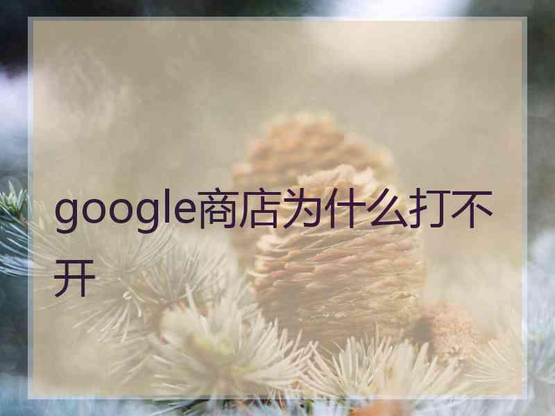 google商店为什么打不开