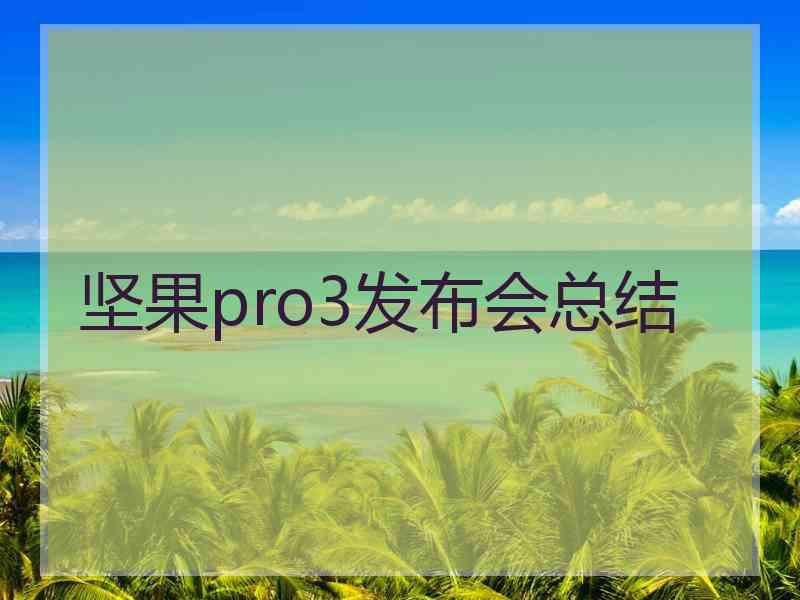 坚果pro3发布会总结