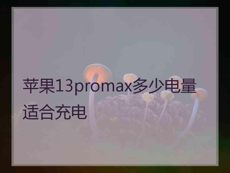 苹果13promax多少电量适合充电