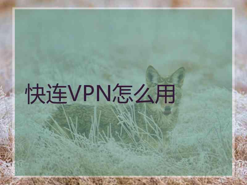 快连VPN怎么用