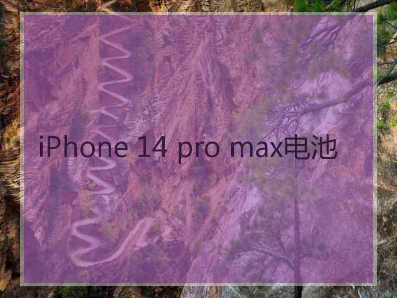 iPhone 14 pro max电池