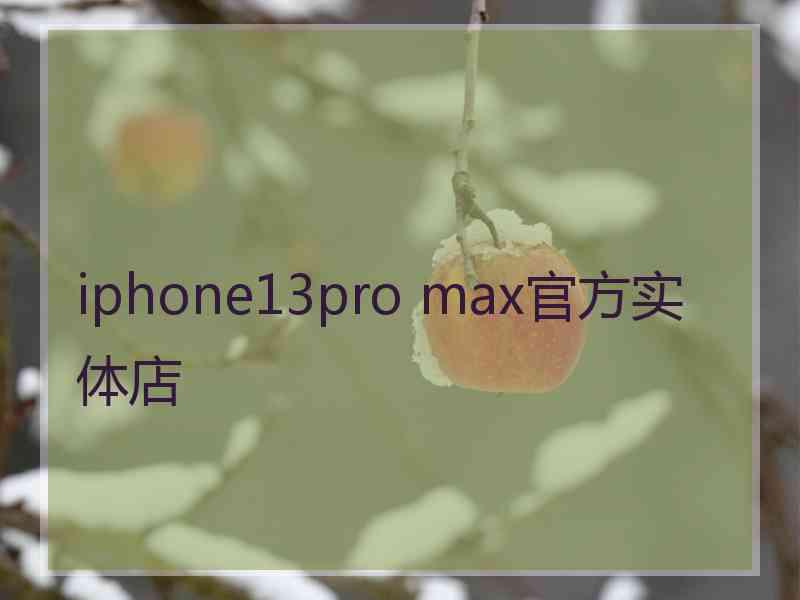 iphone13pro max官方实体店