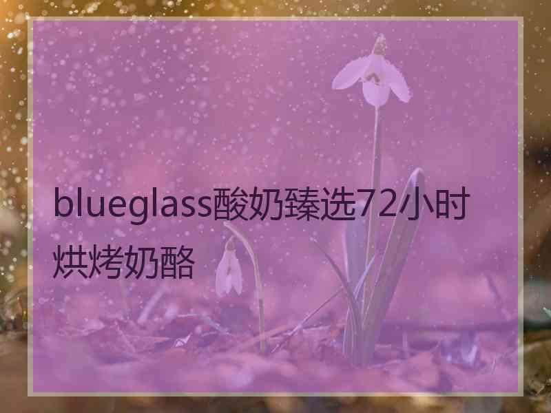 blueglass酸奶臻选72小时烘烤奶酪