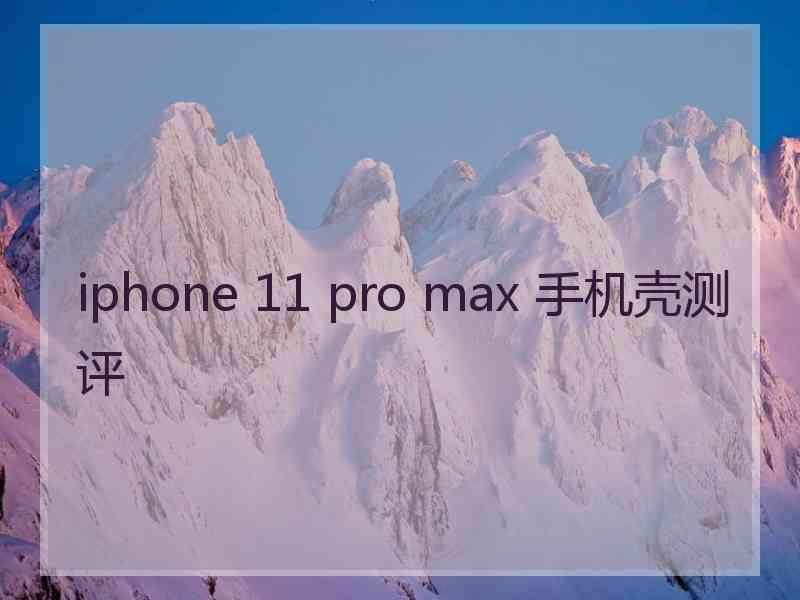 iphone 11 pro max 手机壳测评