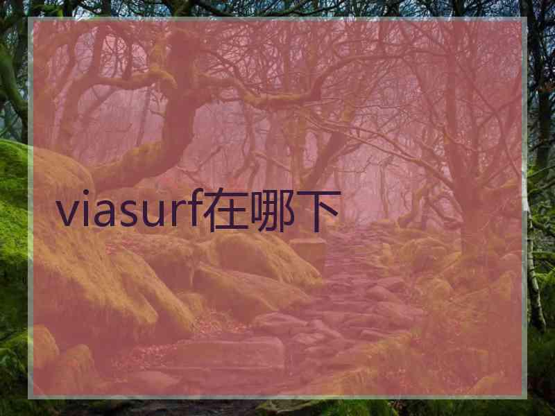 viasurf在哪下