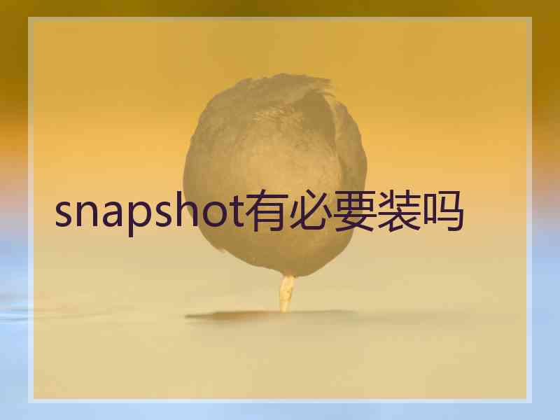 snapshot有必要装吗