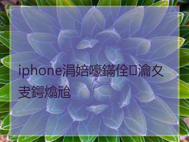 iphone涓婄嚎鏋佺瀹夊叏鍔熻兘