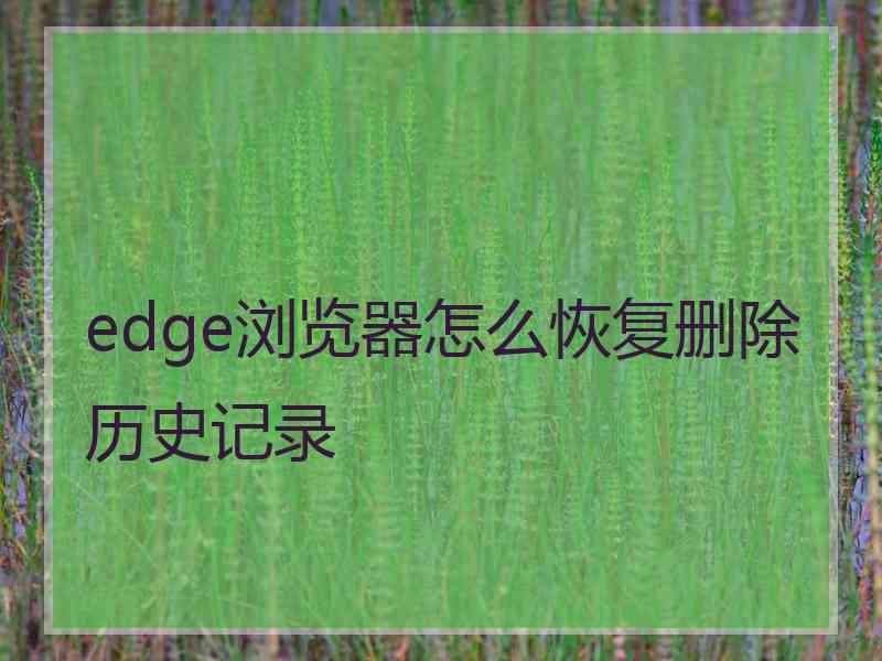 edge浏览器怎么恢复删除历史记录