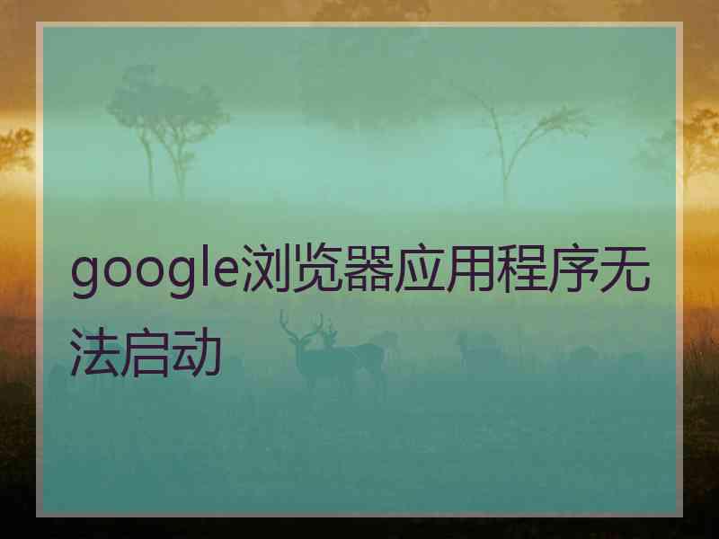 google浏览器应用程序无法启动