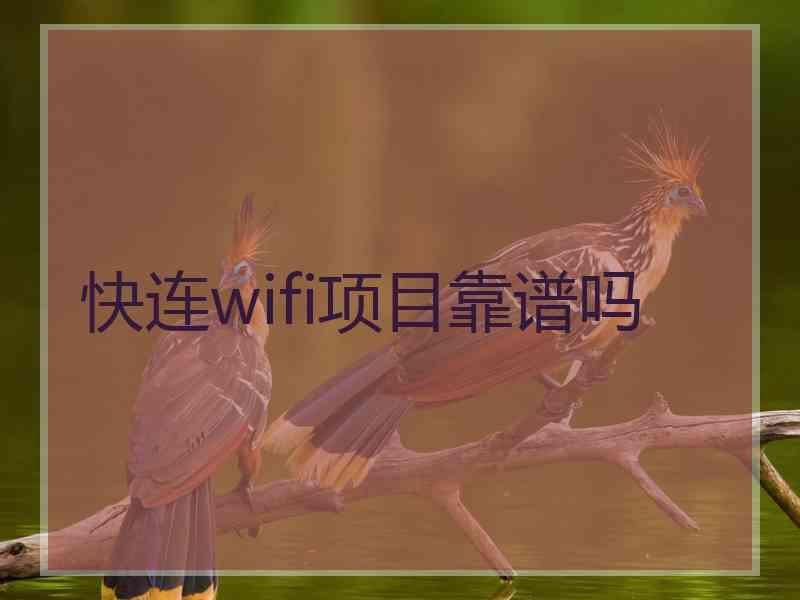 快连wifi项目靠谱吗