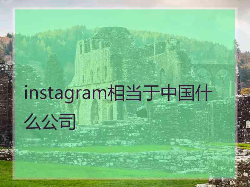 instagram相当于中国什么公司