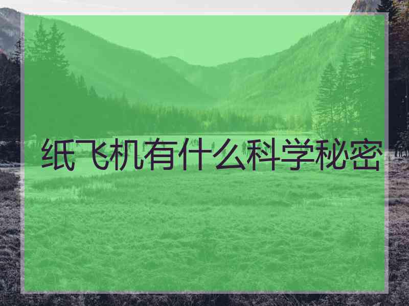 纸飞机有什么科学秘密