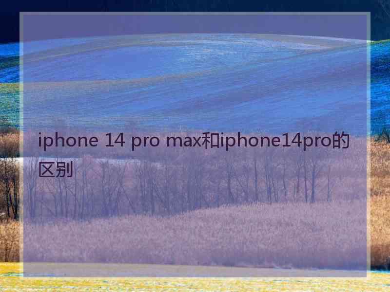 iphone 14 pro max和iphone14pro的区别