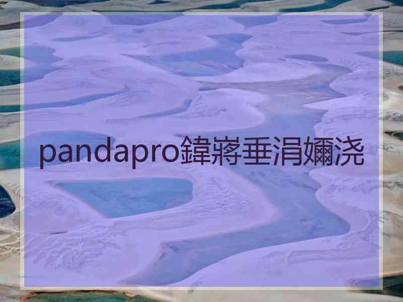 pandapro鍏嶈垂涓嬭浇