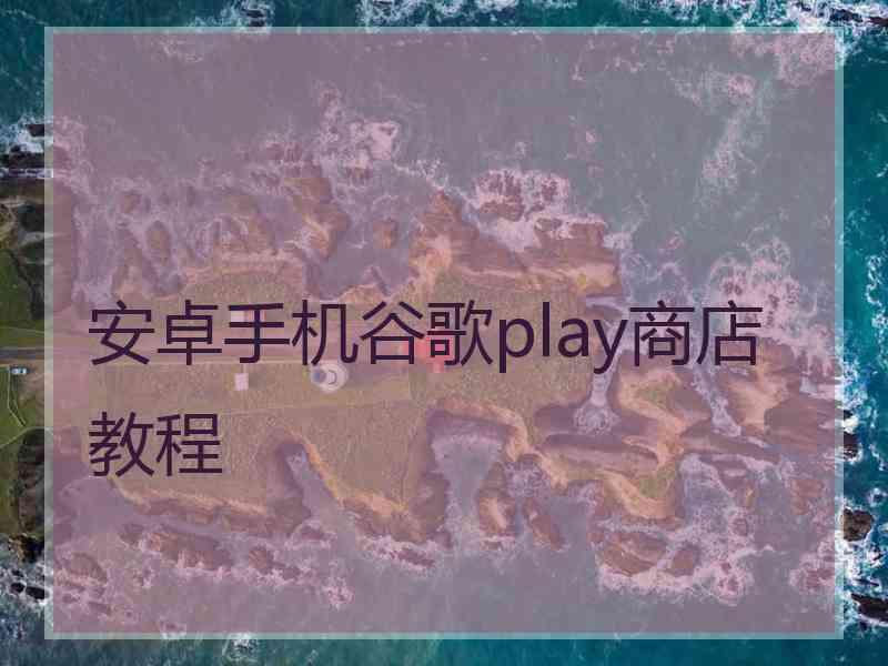 安卓手机谷歌play商店教程