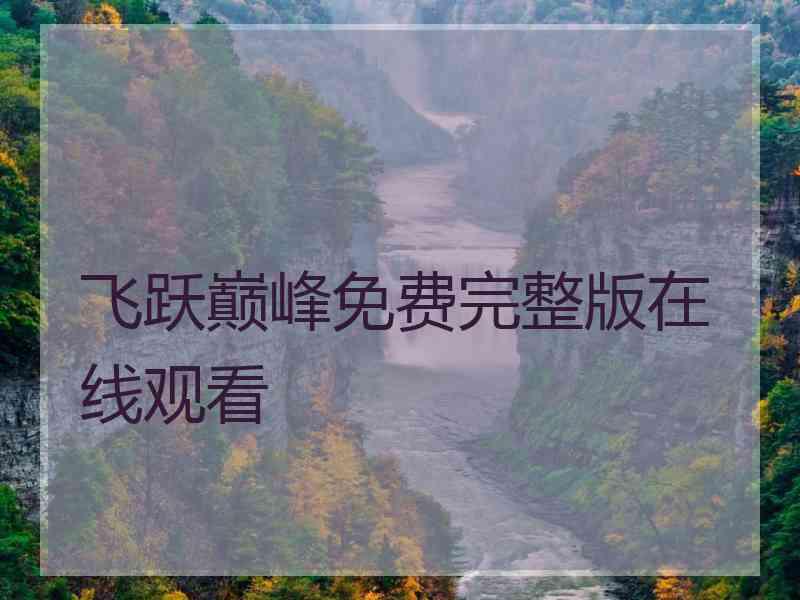 飞跃巅峰免费完整版在线观看