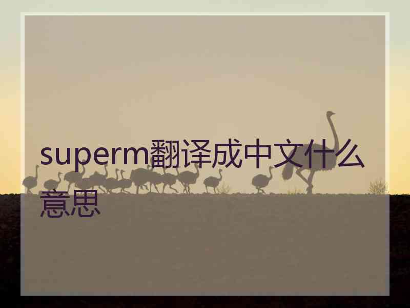 superm翻译成中文什么意思