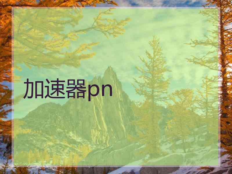 加速器pn