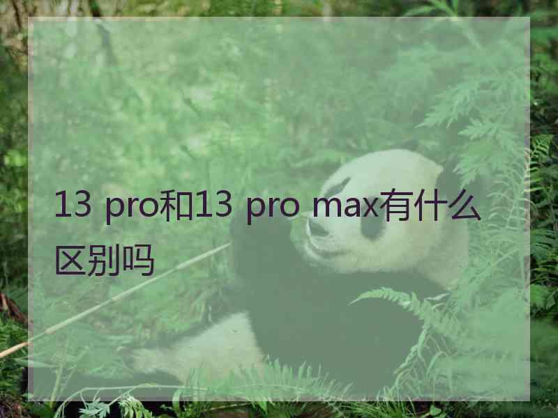 13 pro和13 pro max有什么区别吗