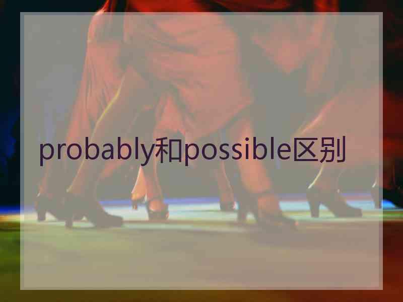 probably和possible区别