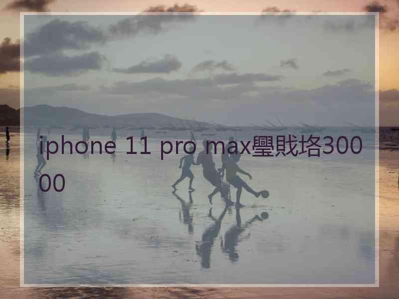 iphone 11 pro max璺戝垎30000