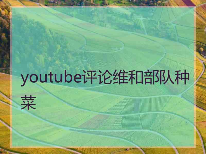 youtube评论维和部队种菜