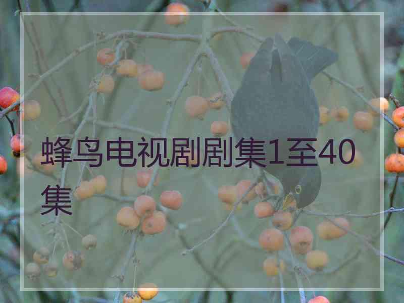 蜂鸟电视剧剧集1至40集