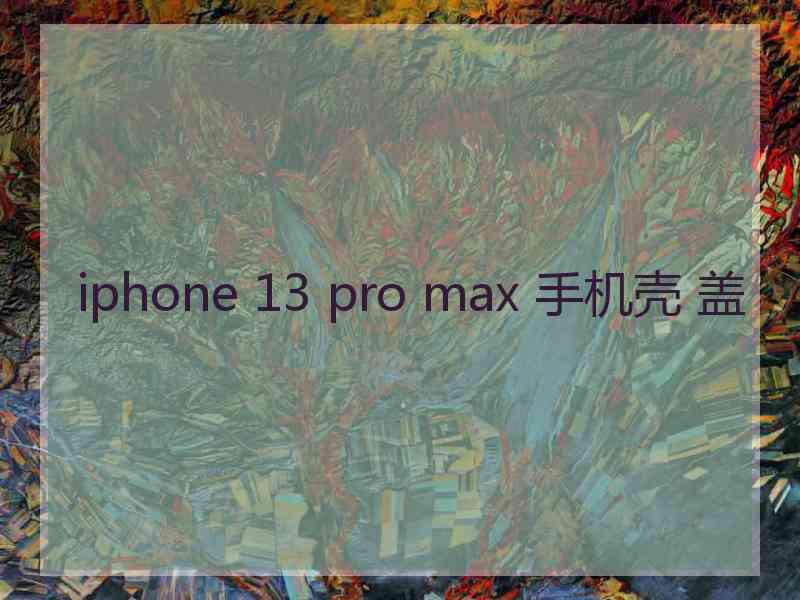 iphone 13 pro max 手机壳 盖