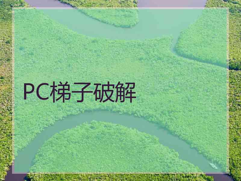 PC梯子破解