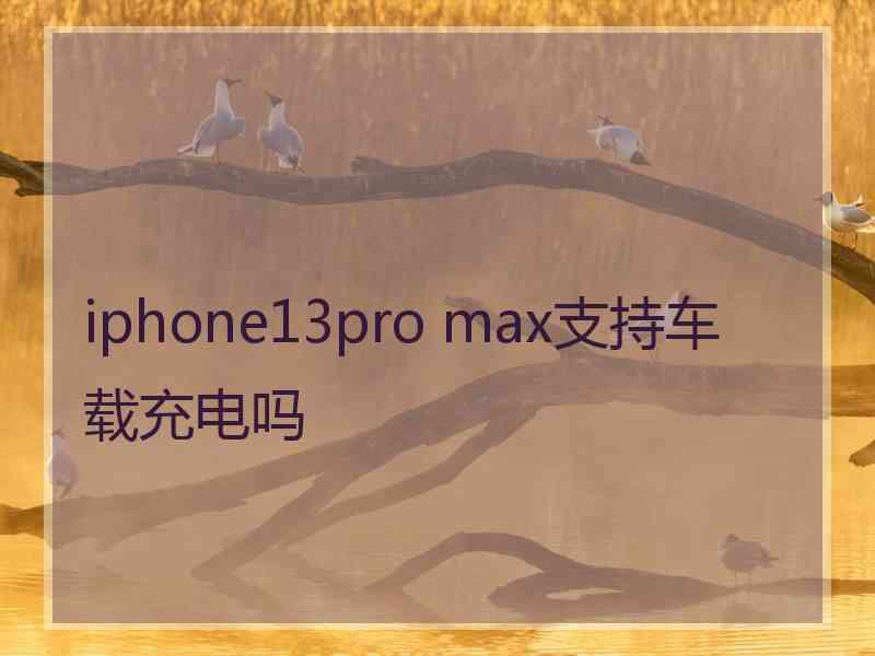 iphone13pro max支持车载充电吗