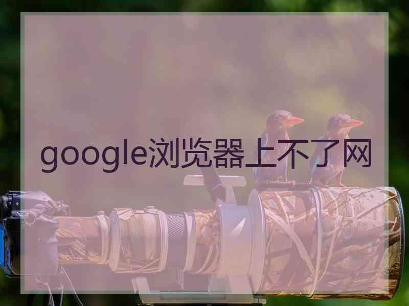 google浏览器上不了网