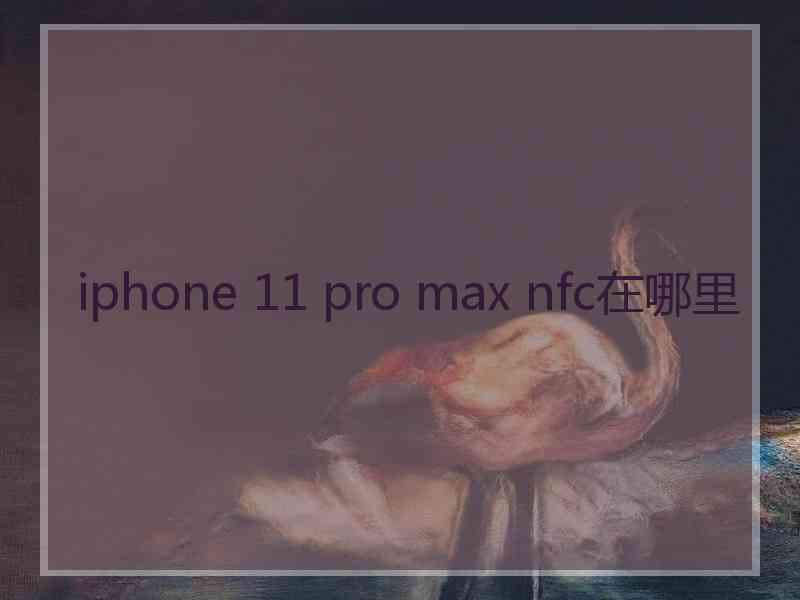 iphone 11 pro max nfc在哪里