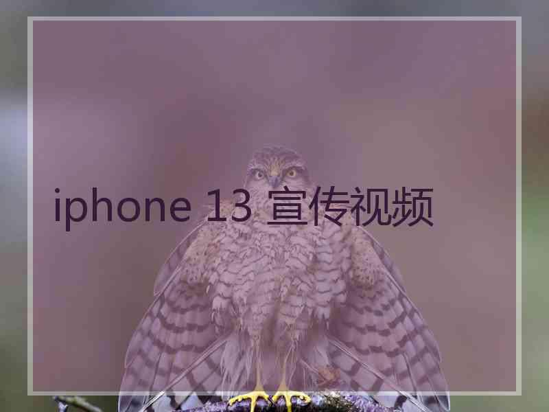 iphone 13 宣传视频