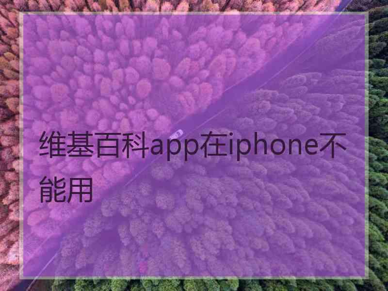 维基百科app在iphone不能用